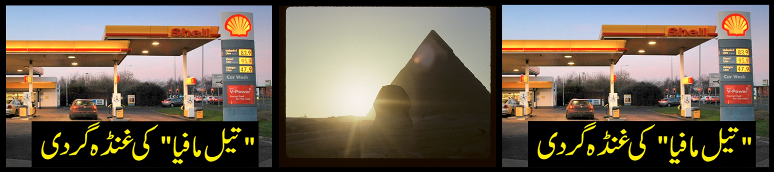 /siteimg7.png